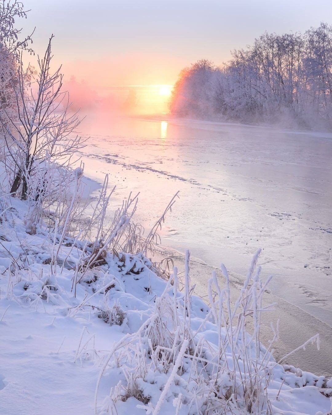 Winter in Finland ❄️...
