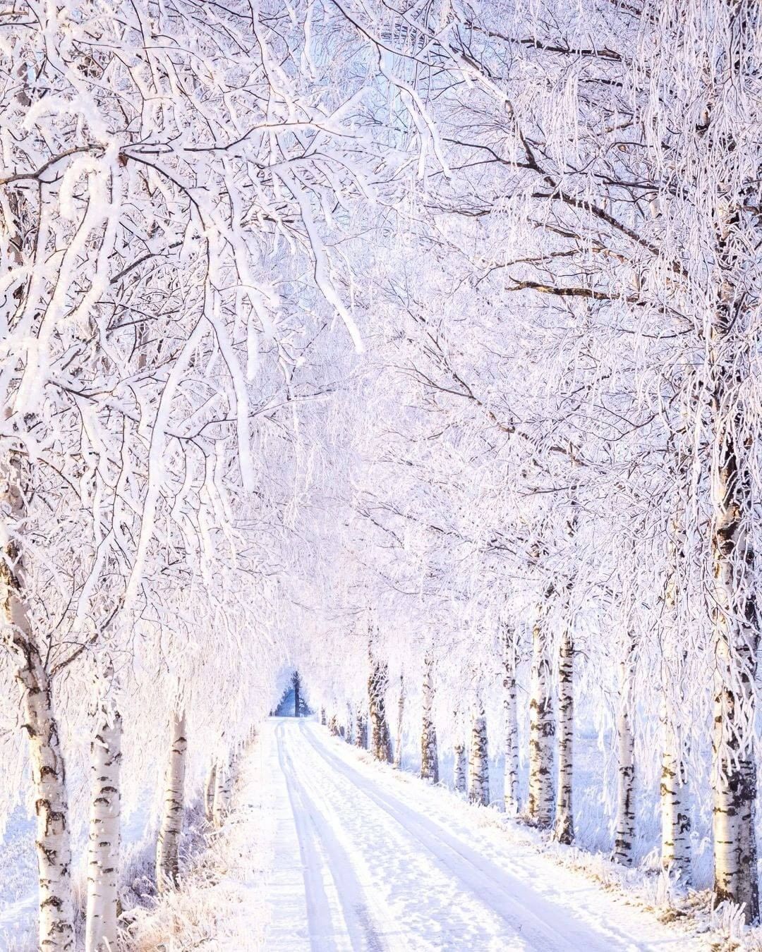 Winter in Finland ❄️...