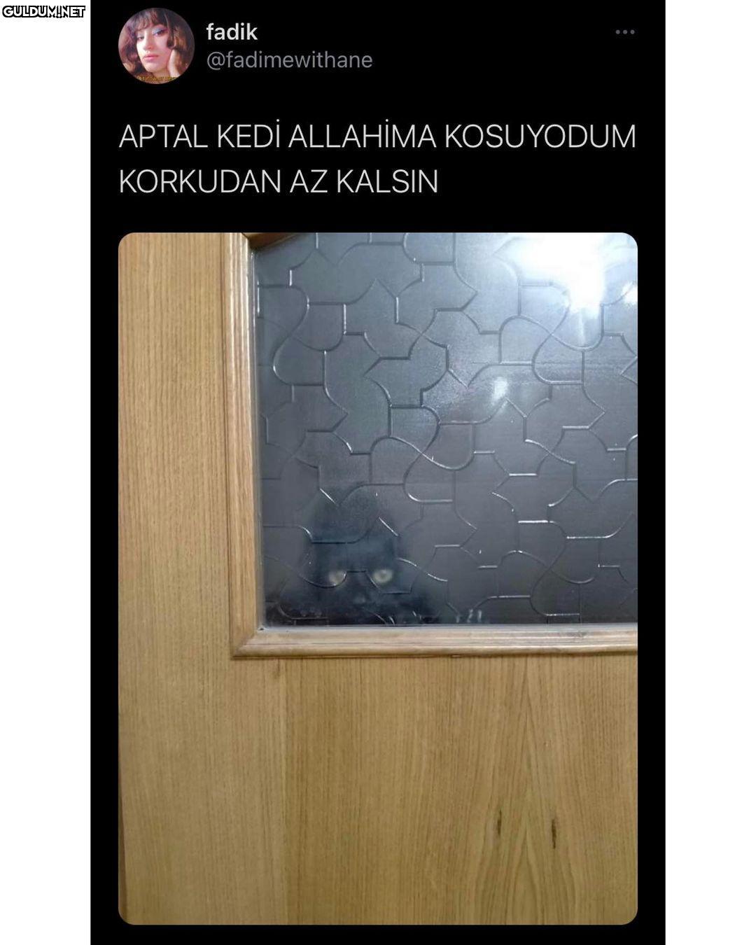 fadik @fadimewithane APTAL...