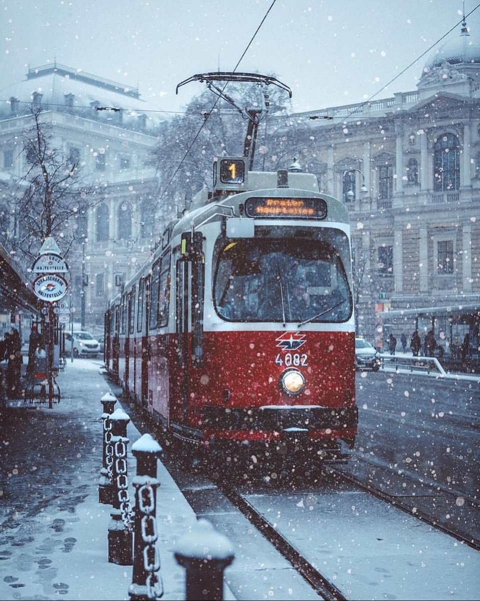 Viyana'da kış....