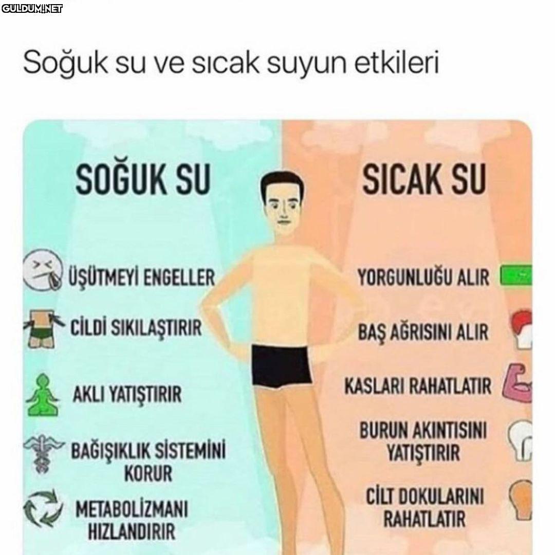Hergün bir yeni bilgi ...
