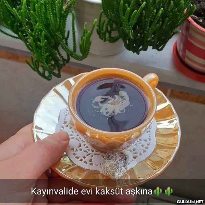 https://t.co/5MSlfYrEyP ...