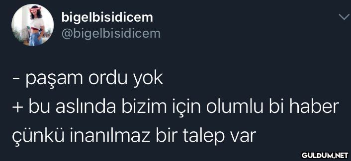 bigelbisidicem...