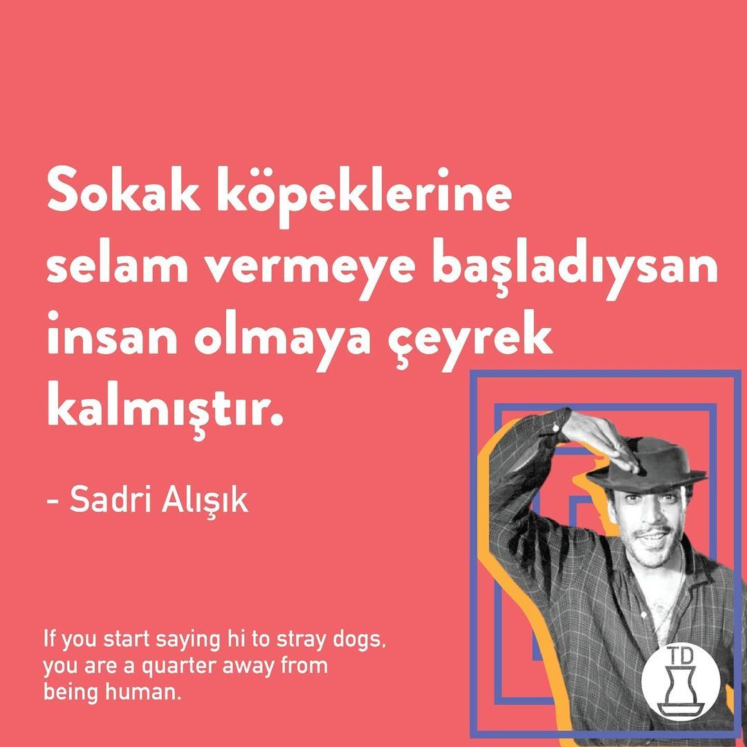 Doğum günün kutlu olsun...