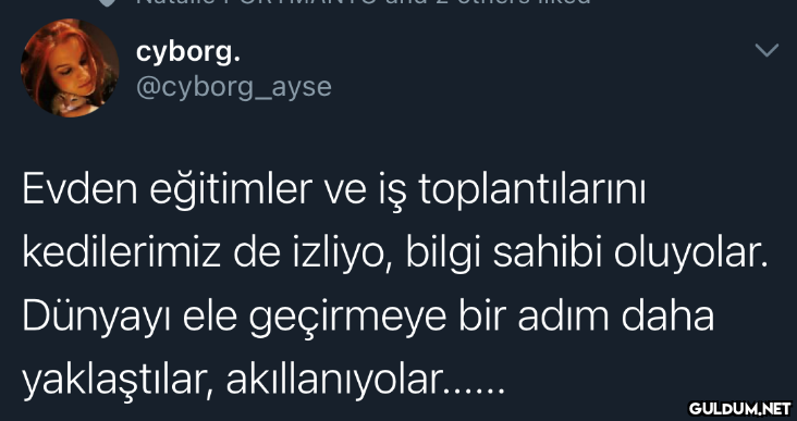 cyborg. @cyborg_ayse Evden...