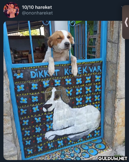 10/10 hareket @ononhareket...