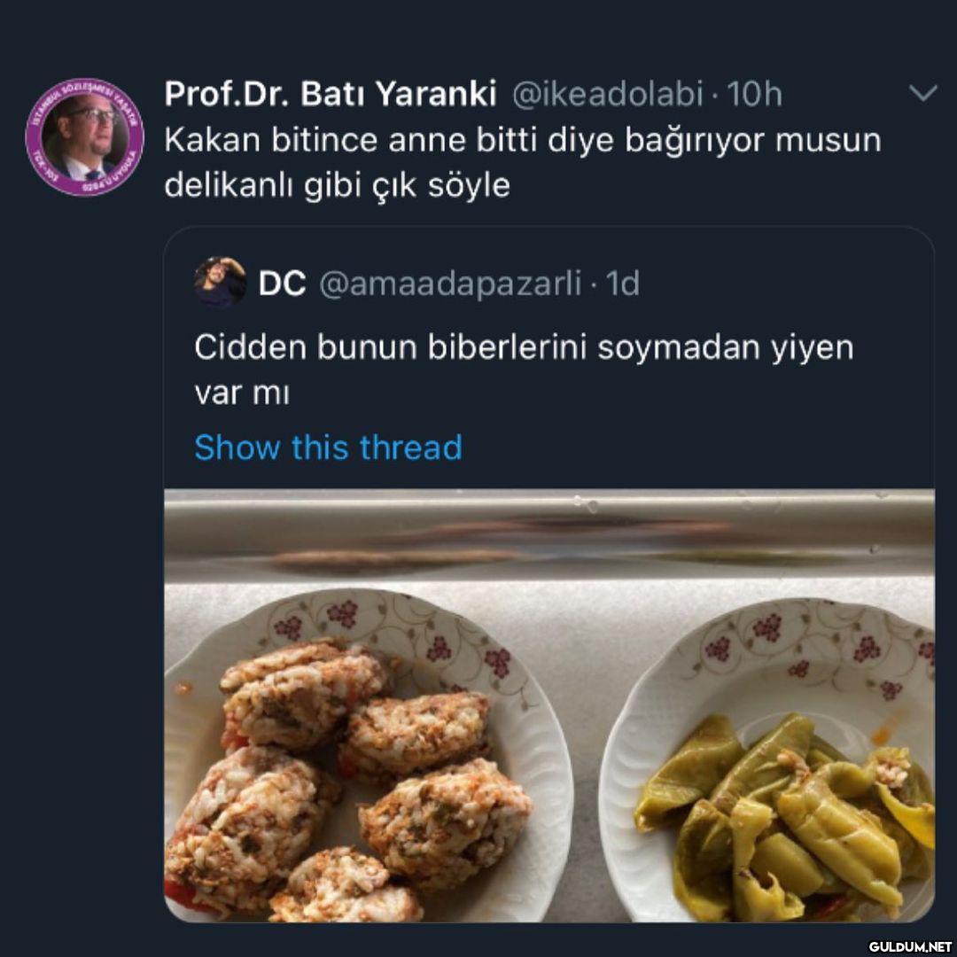 Anne bitti  Prof.Dr. Batı...
