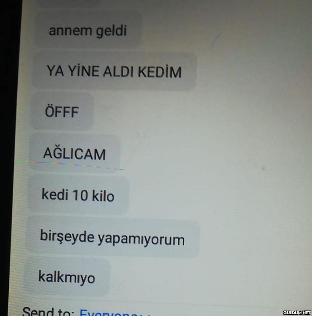 cabuk son fotoya bakın ...
