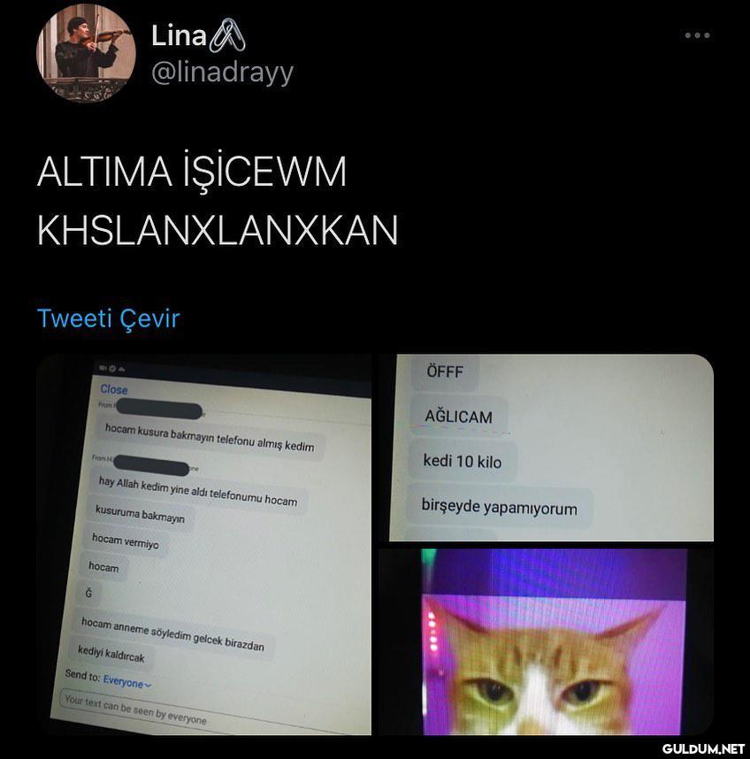 cabuk son fotoya bakın ...