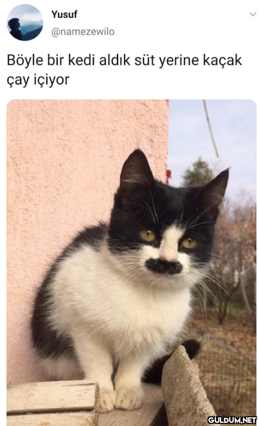 Yusuf @namezewilo Böyle...