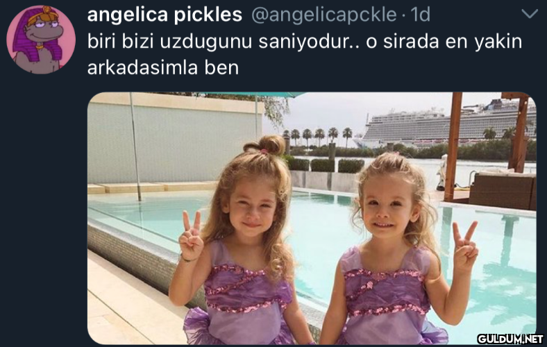 angelica pickles...