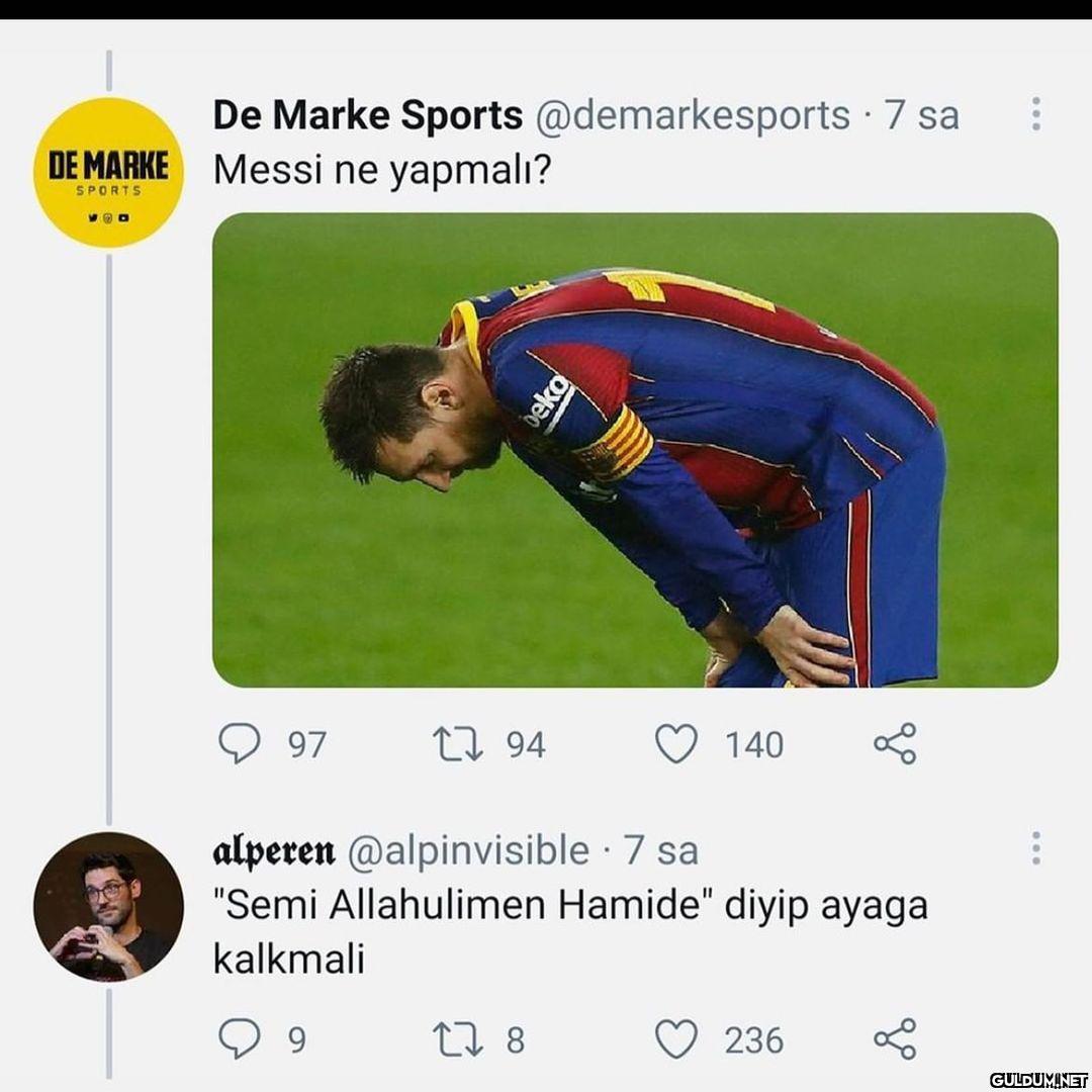 KAHSKSGAAKAH  De Marke...