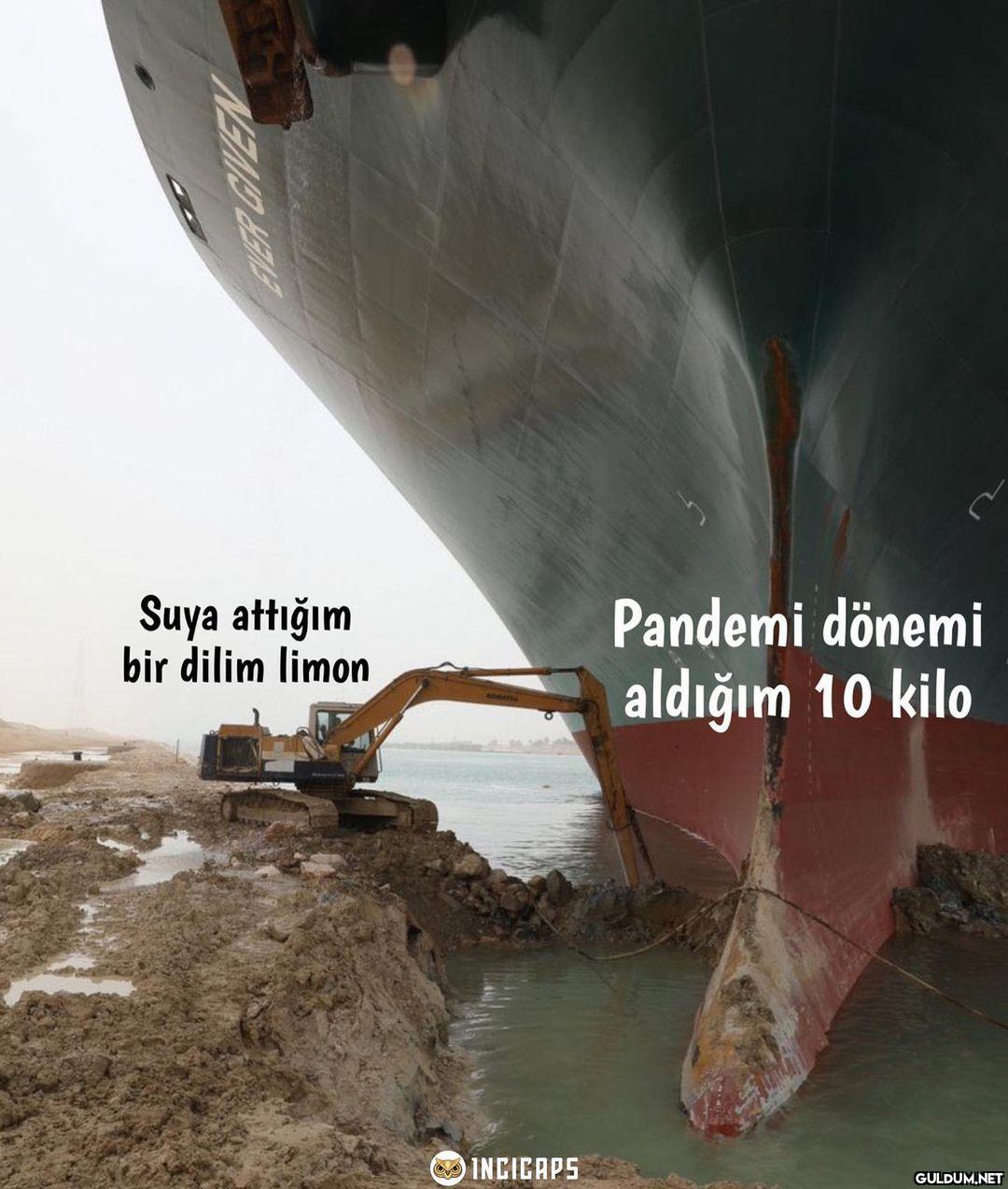 Suya attığım bir dilim...