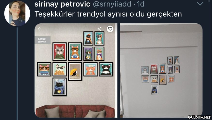 sirinay petrovic...