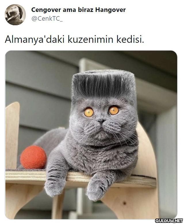 Cengover ama biraz...