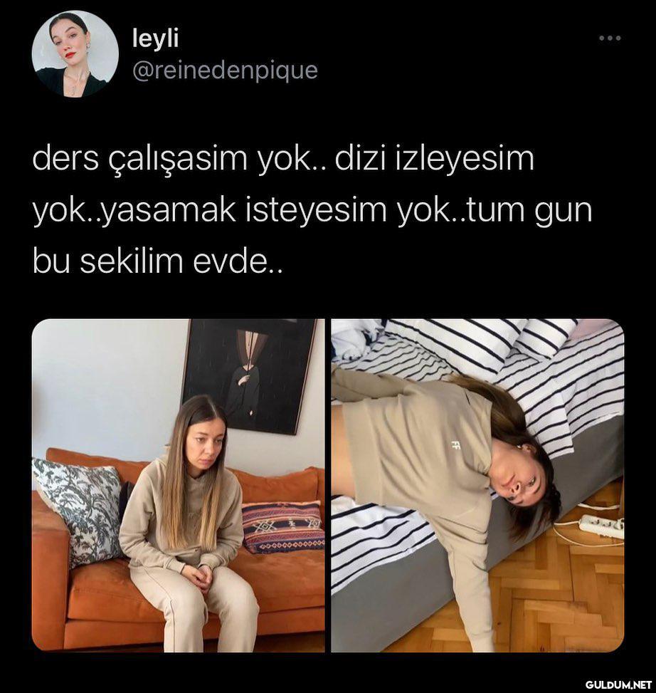 leyli @reinedenpique ders...