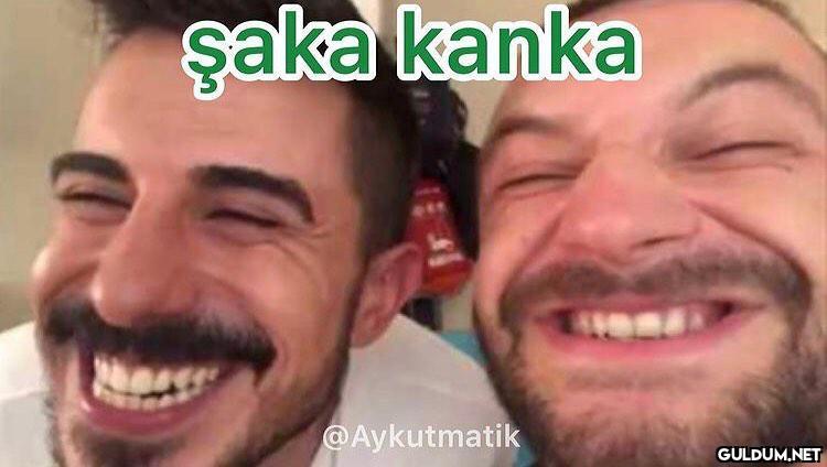 GELENEKSEL VİNE REPLİĞİ...