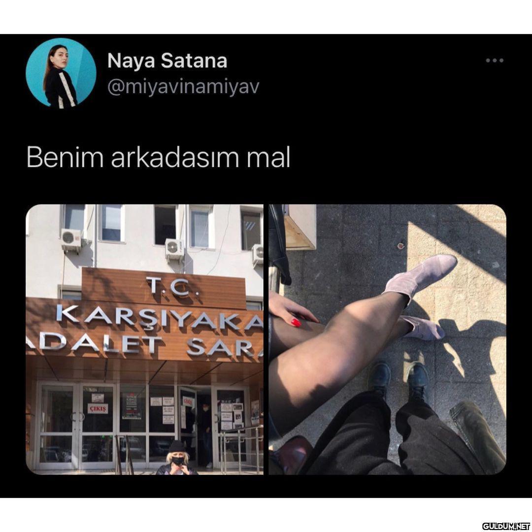 Naya Satana @miyavinamiyav...