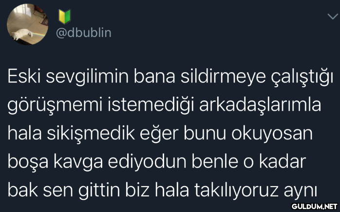 @dbublin Eski sevgilimin...