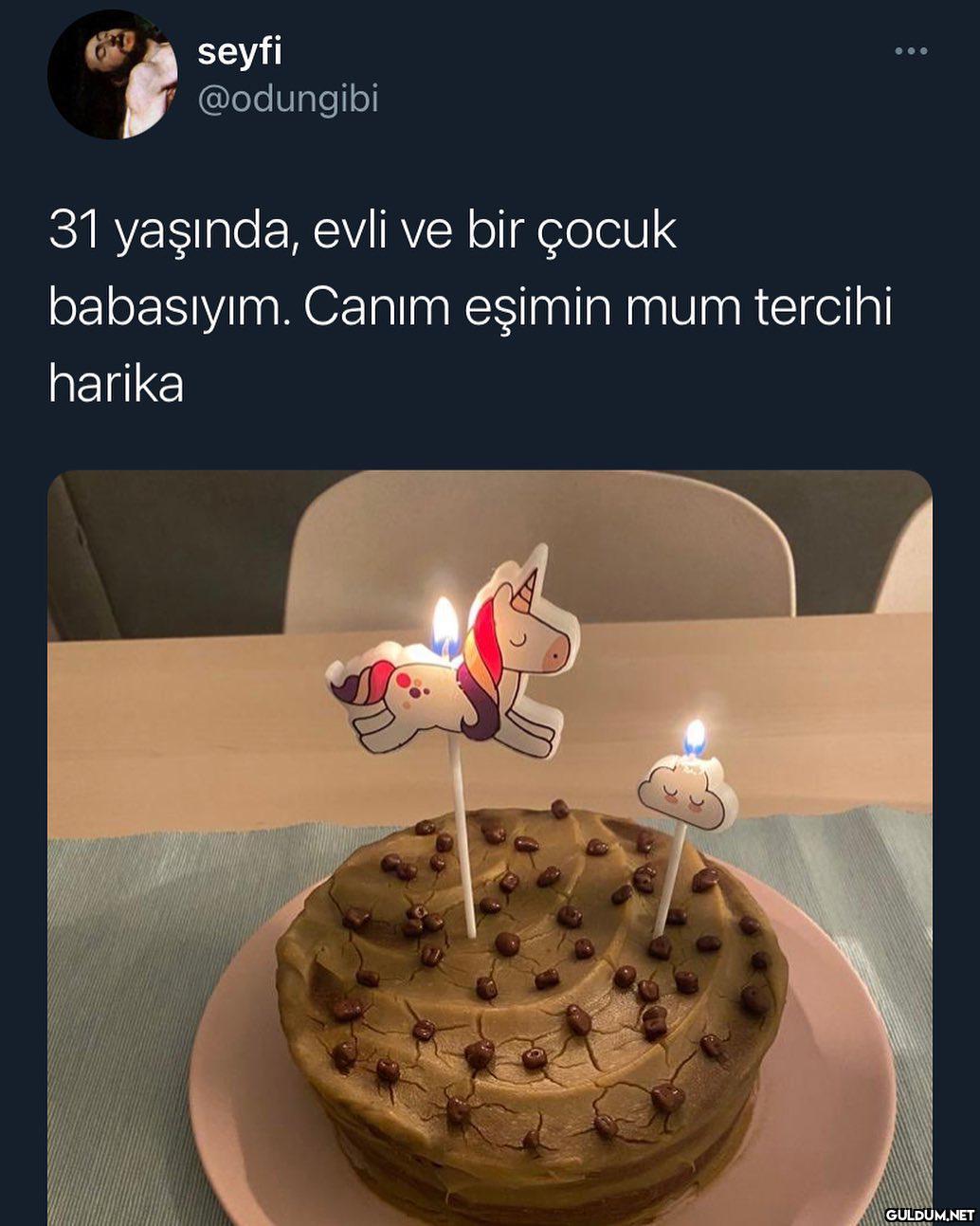 seyfi @odungibi 31...