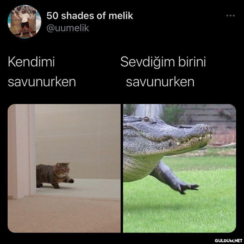 50 shades of melik...