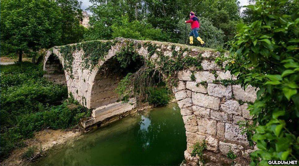 Nadir Tarihi Fotoğraflar...