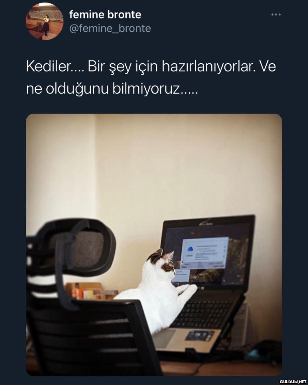 dünyayı istila edecekler ...