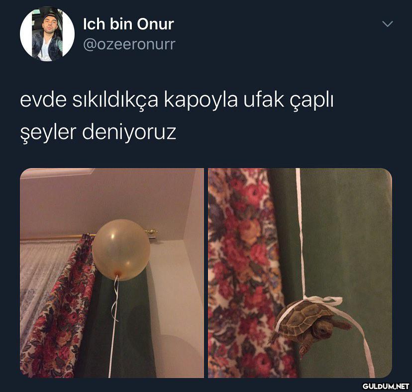 lna ucuyo  Ich bin Onur...