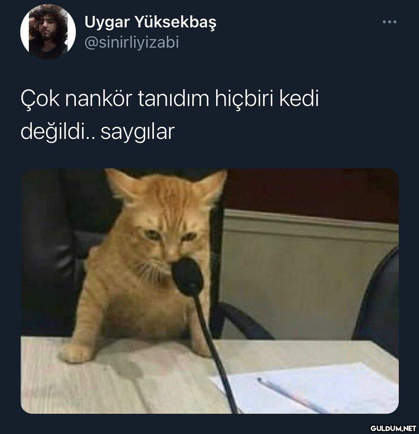 hayırlı günler ✍🏻  Uygar...