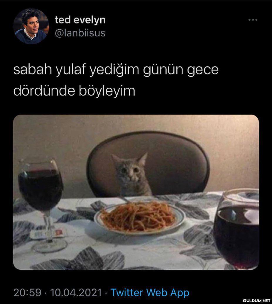 asla değişmez  ted evelyn...