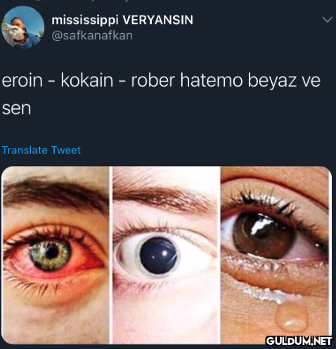 mississippi VERYANSIN...