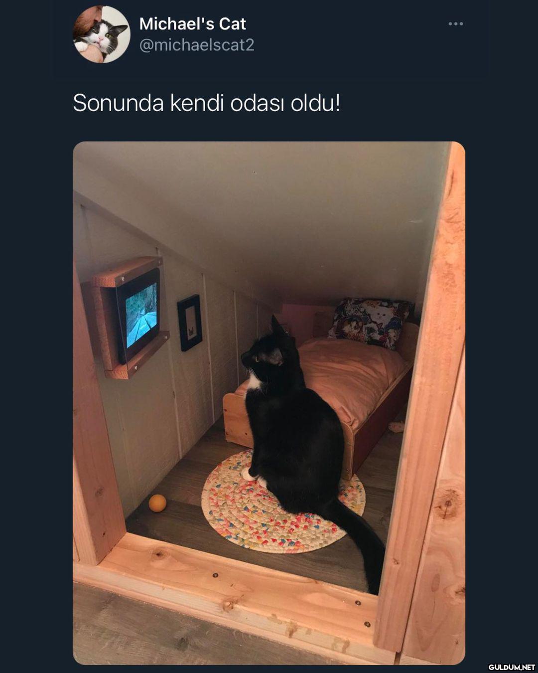 benim böyle odam yok.....