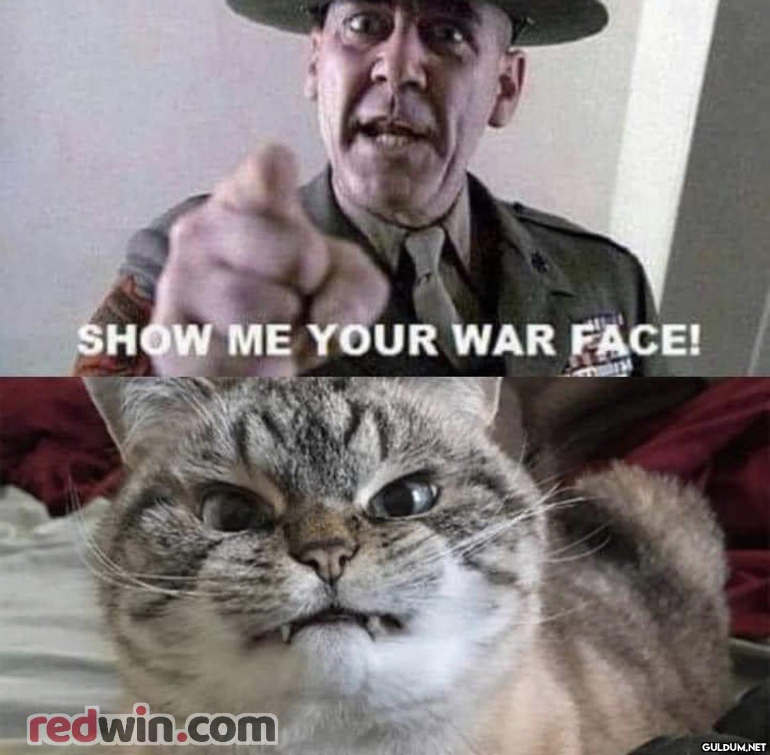 SHOW ME YOUR WAR FACE!      Kaynak