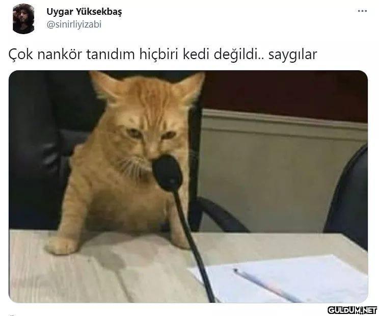 Uygar Yüksekbaş...
