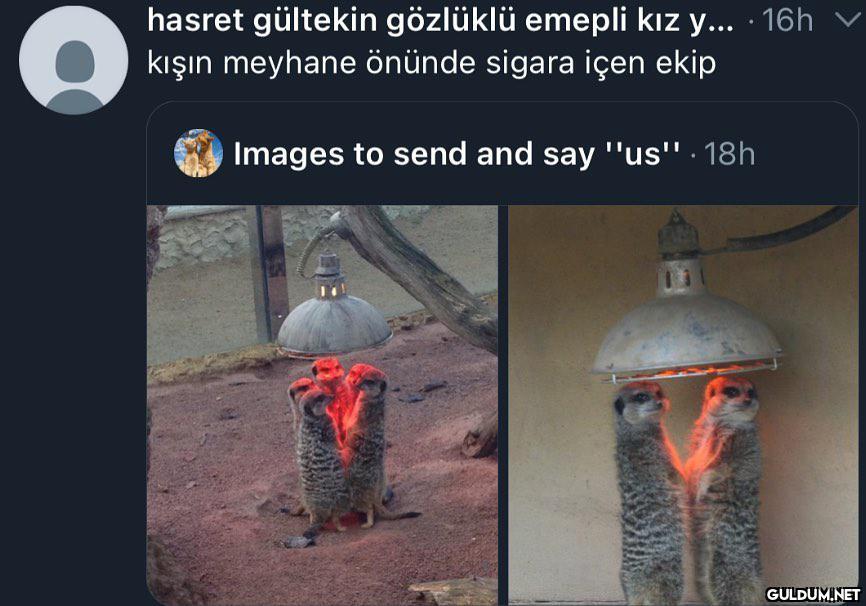 hasret gültekin gözlüklü...