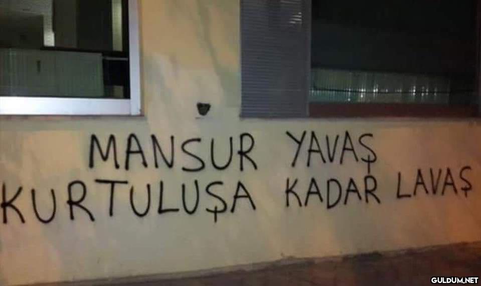 Apolitiklik seviyem ...