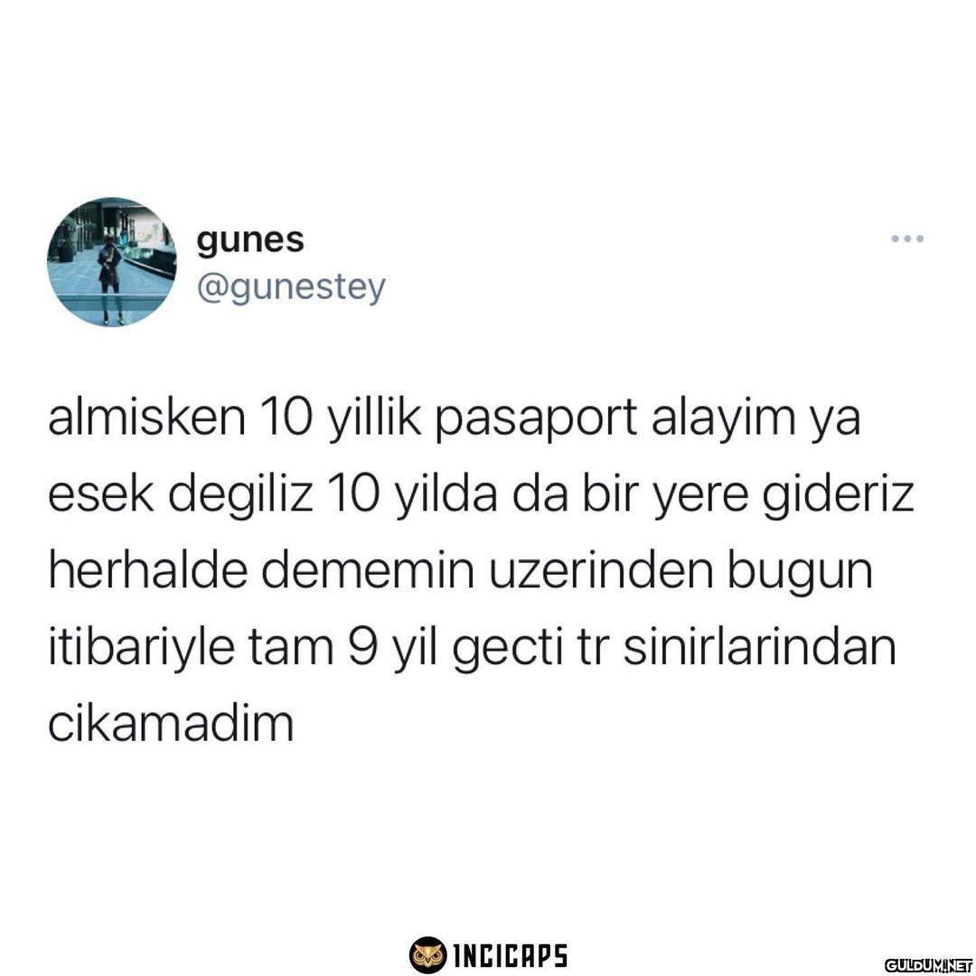 gunes ... @gunestey...