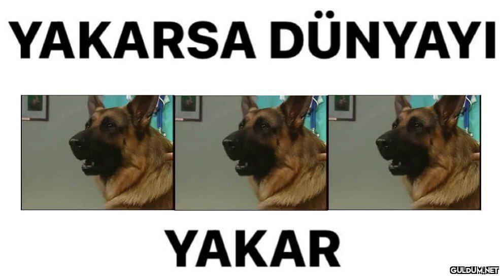 Tatsız şakalar  YAKARSA...