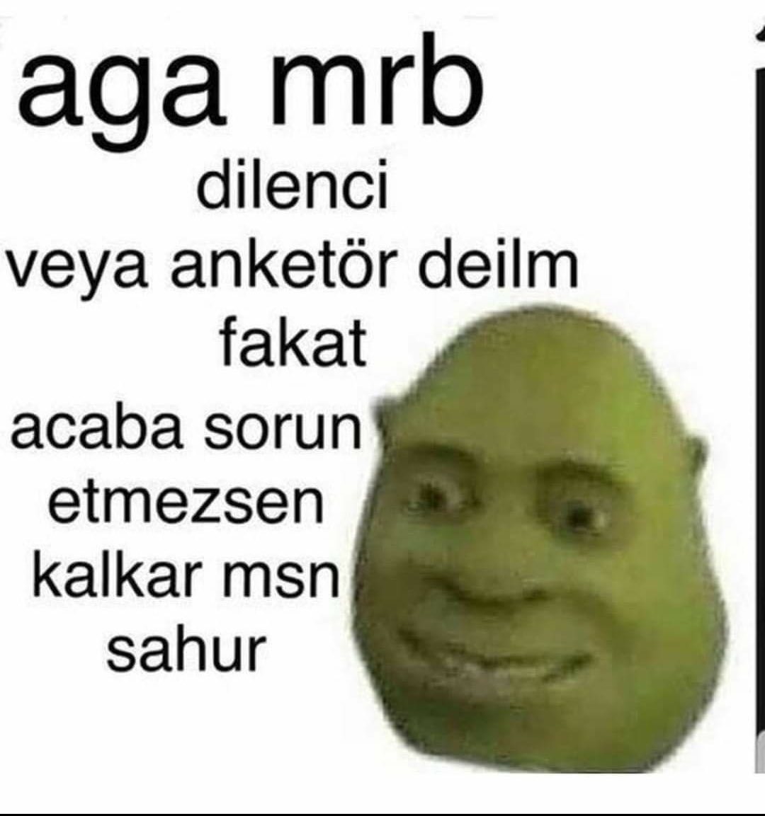 aga mrb dilenci veya...