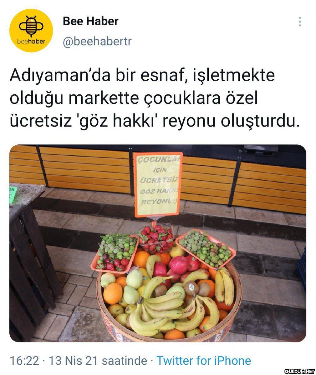 Вee Haber @beehabertr...