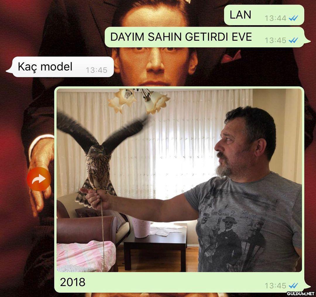 LAN 13:44 W DAYIM SAHIN...