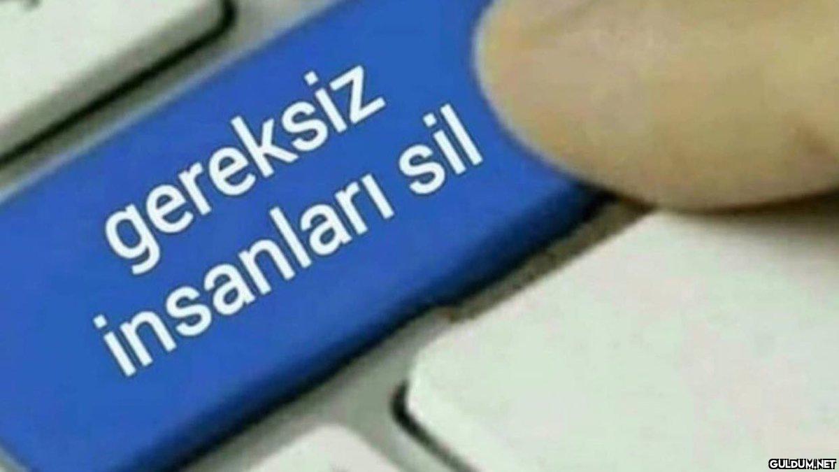 Tam olarak şuna ihtiyacım...