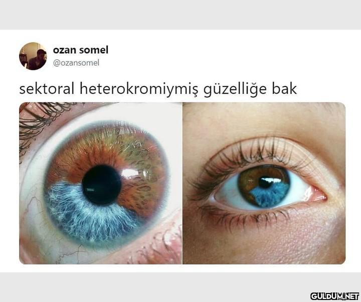 ozan somel @ozansomel...