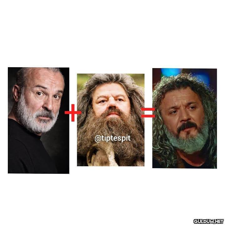 Hakan Vanlı + Robbie...
