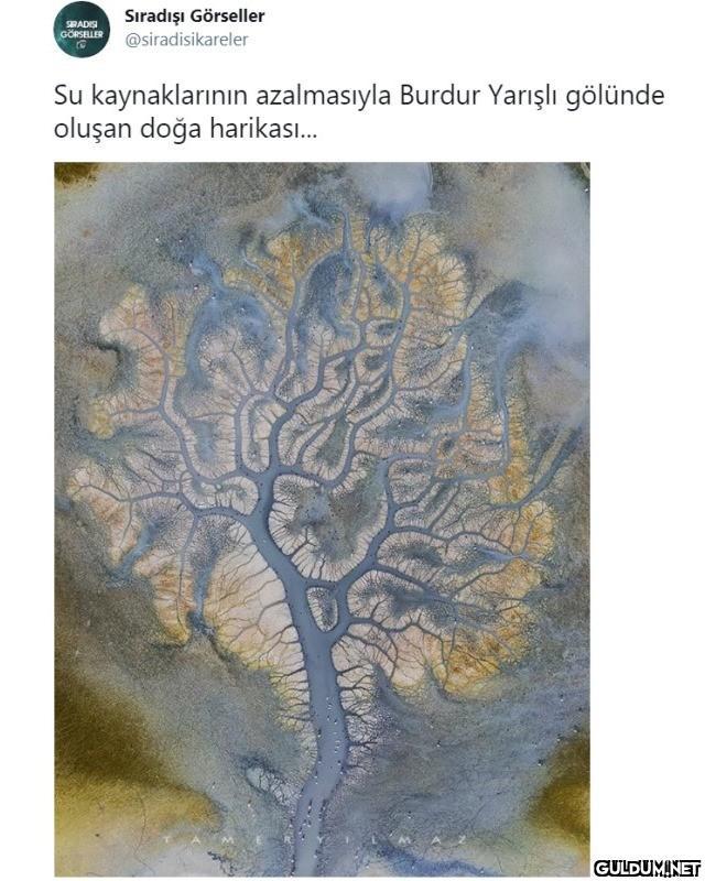 Kaydırmalı [📷...