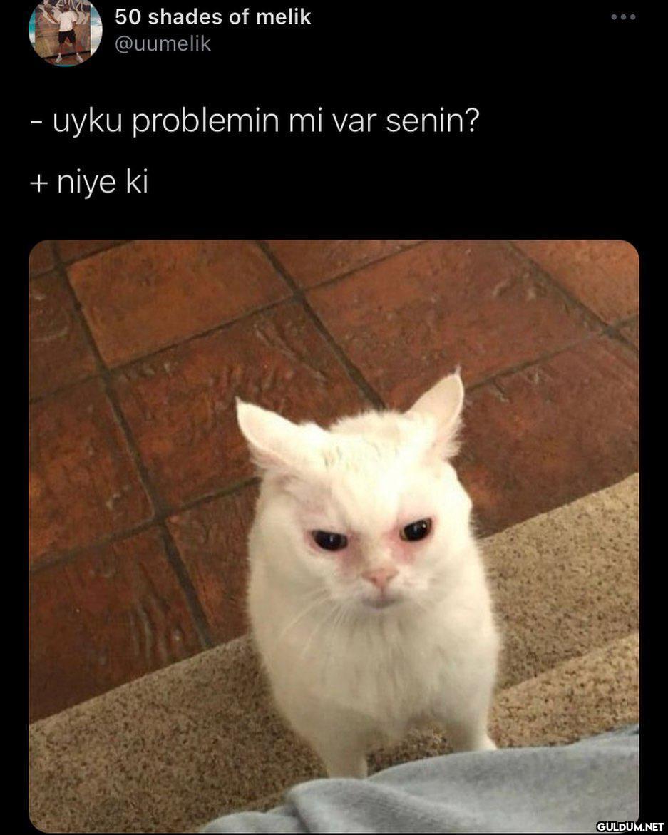 ne alakasi var yav  50...