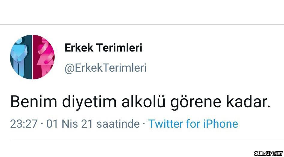Erkek Terimleri...