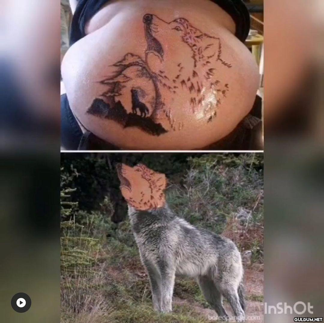 @zalimtattoocollection...