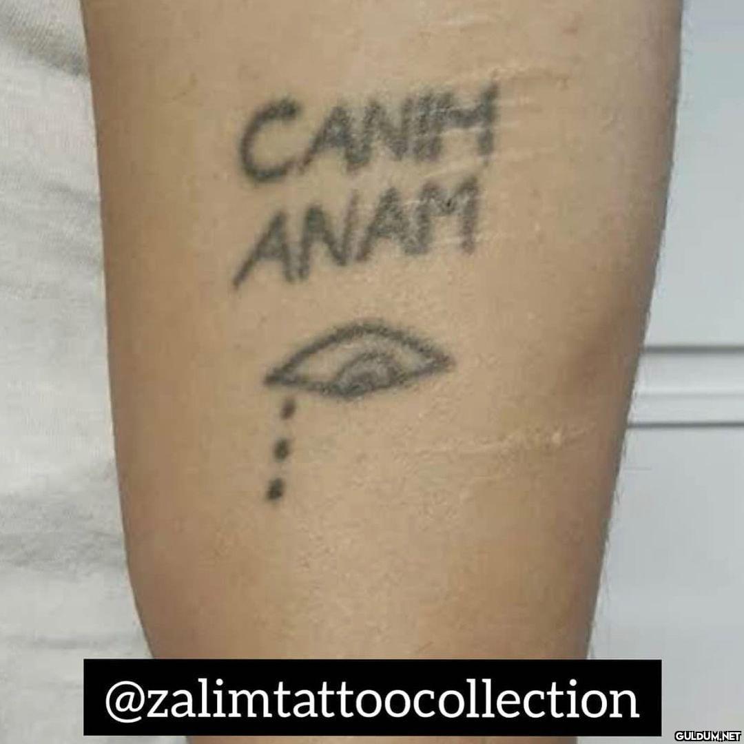 @zalimtattoocollection...