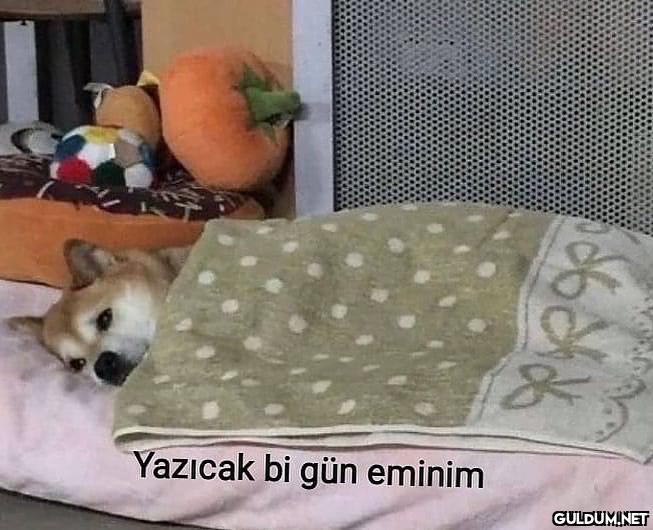 yazmıcak bunu hepimiz...